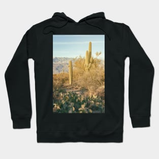 Saguaro and Cacti Hoodie